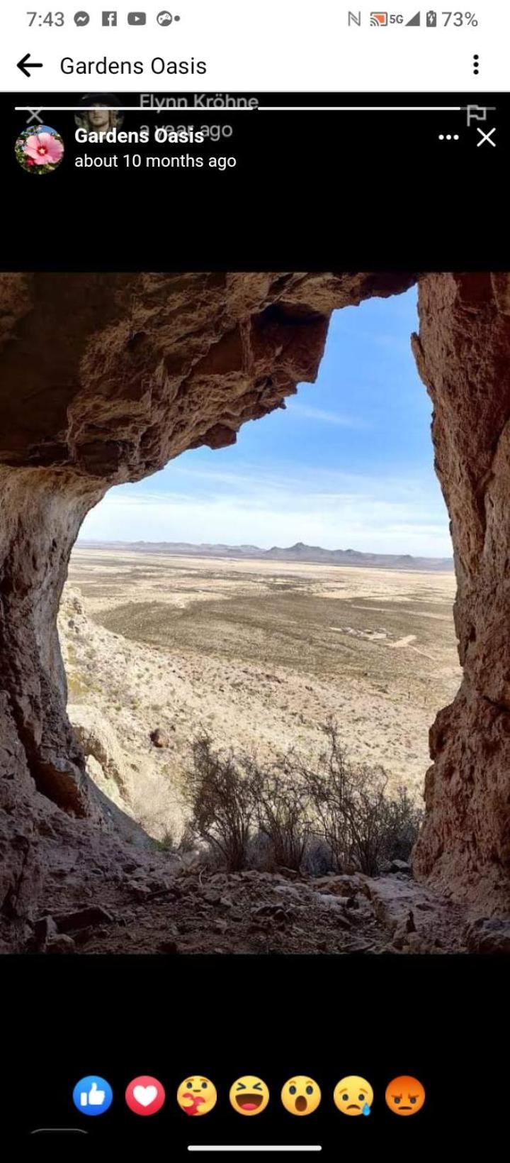 Camping At Desert Gardens Oasis At Lobo, Texas Van Horn Bagian luar foto